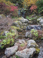Sapporo: Botanic Garden…